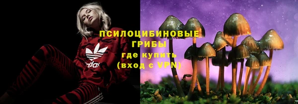 гидропоника Лиски