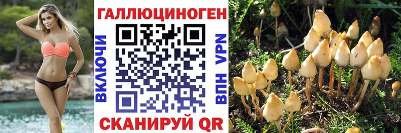 где купить наркотик  Усть-Джегута  Псилоцибиновые грибы Magic Shrooms 