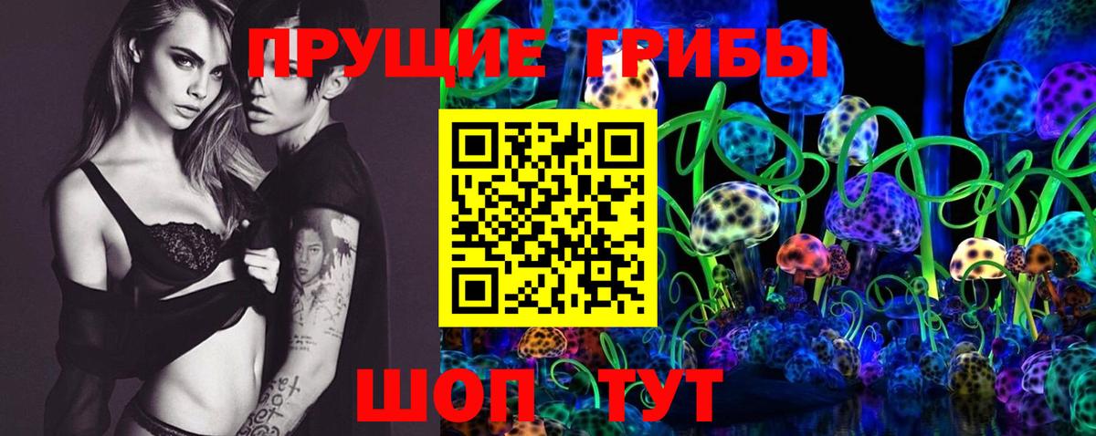 Псилоцибиновые грибы Cubensis  Галлюциногенные грибы GOLDEN TEACHER  Вход с VPN  Усть-Джегута 