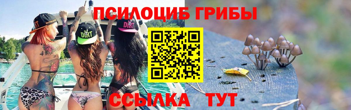 Галлюциногенные грибы MAGIC MUSHROOMS Усть-Джегута